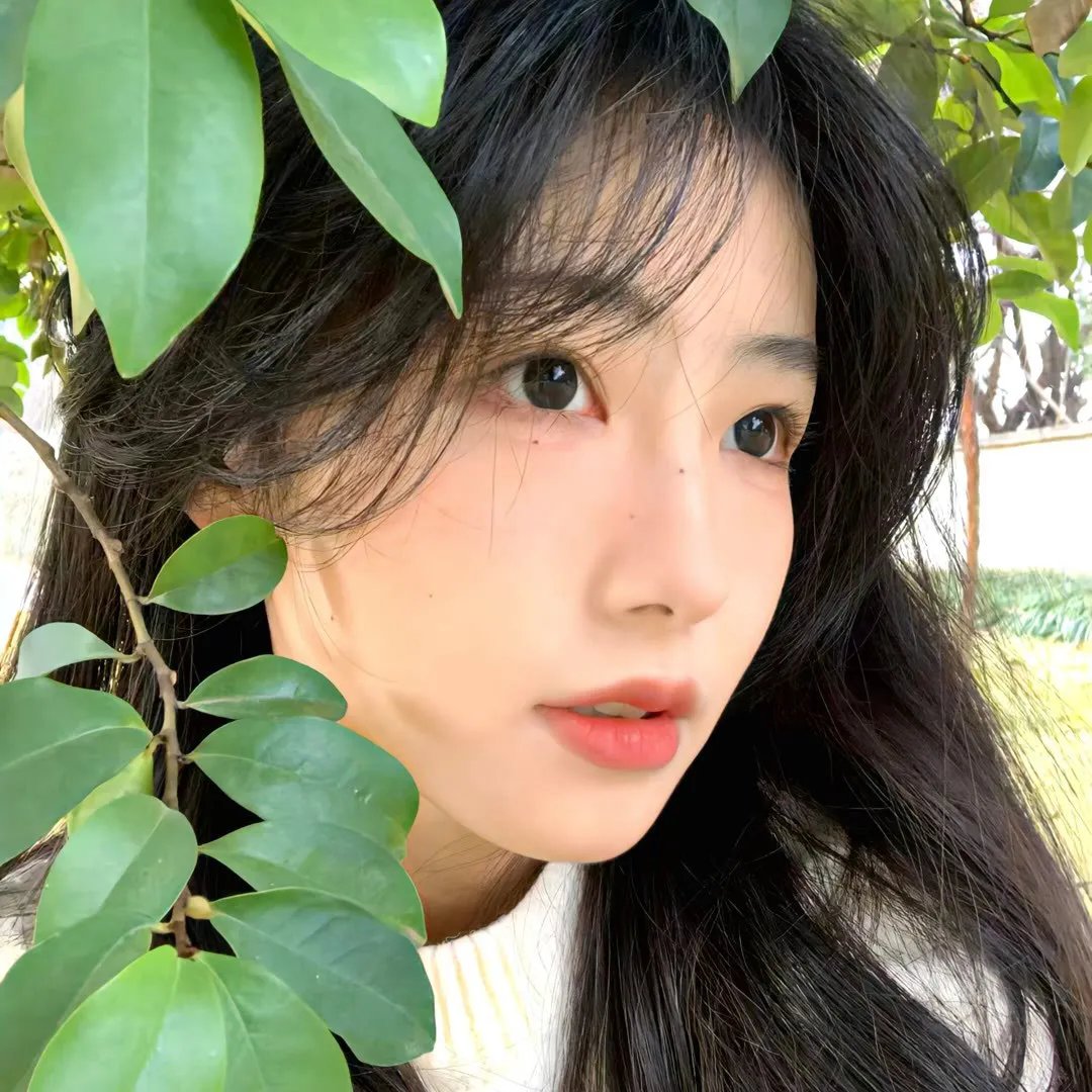 边境幻梦